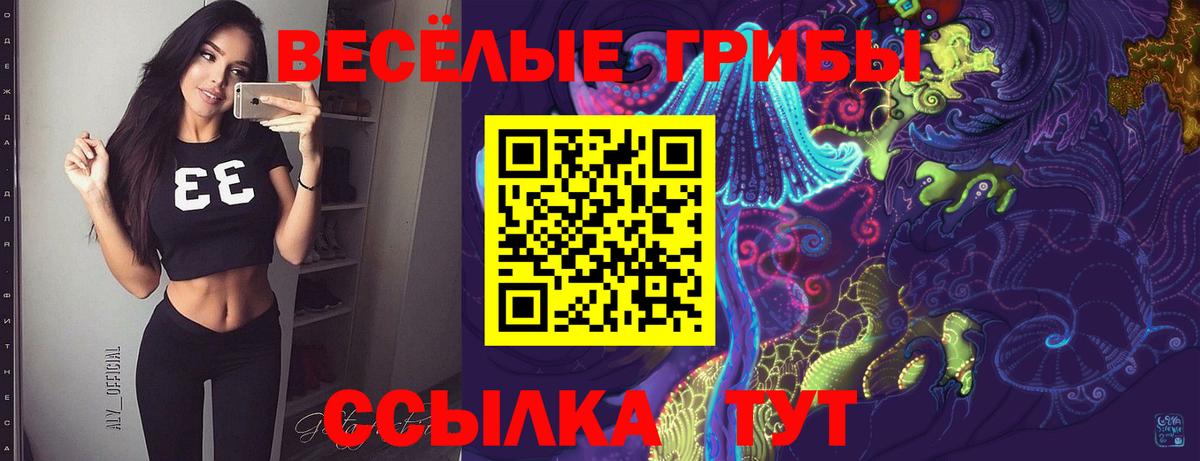 Галлюциногенные грибы прущие грибы  Псилоцибиновые грибы GOLDEN TEACHER  Ливны  Вход с VPN 